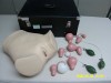 Gynecology Diagnostic Training Model(婦科觸診診斷教學模型)