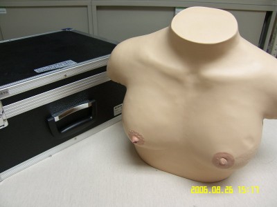Inspection and Palpation of Breast Cancer Training Model(Precision Type)(半身式乳癌檢查觸診模型)